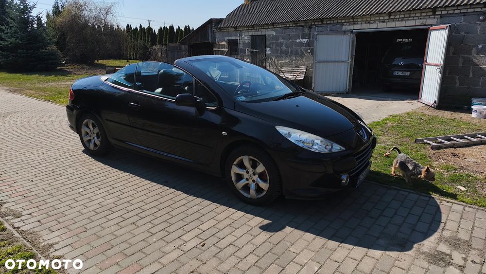 Peugeot 307 CC - 3