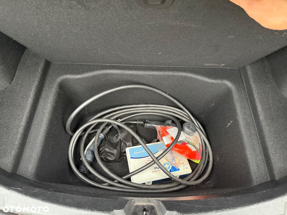 Tesla Model 3 Standard Range Plus - 22