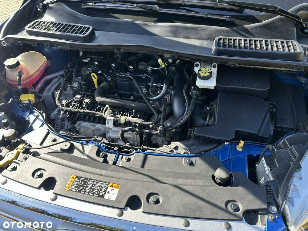Ford Escape - 30