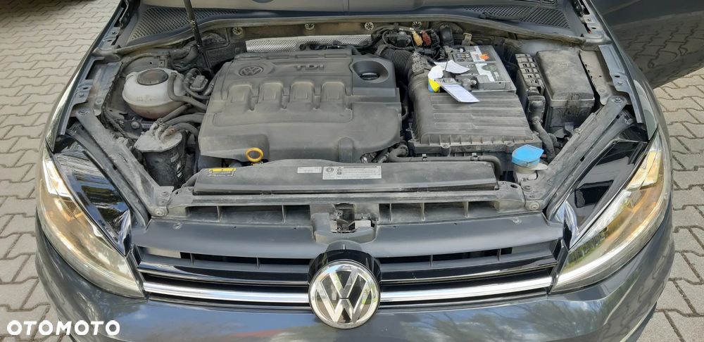 Volkswagen Golf - 30