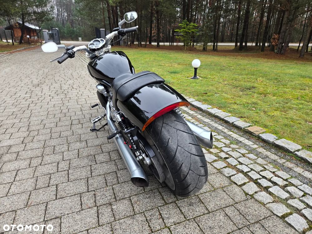 Harley-Davidson V-Rod Muscle - 19