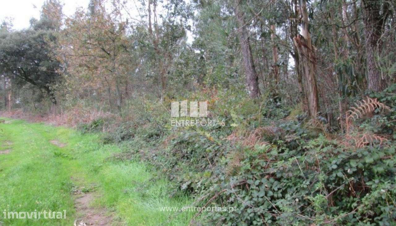 Venda de Terreno em Rio Mau, Vila do Conde - Grande imagem: 3/5
