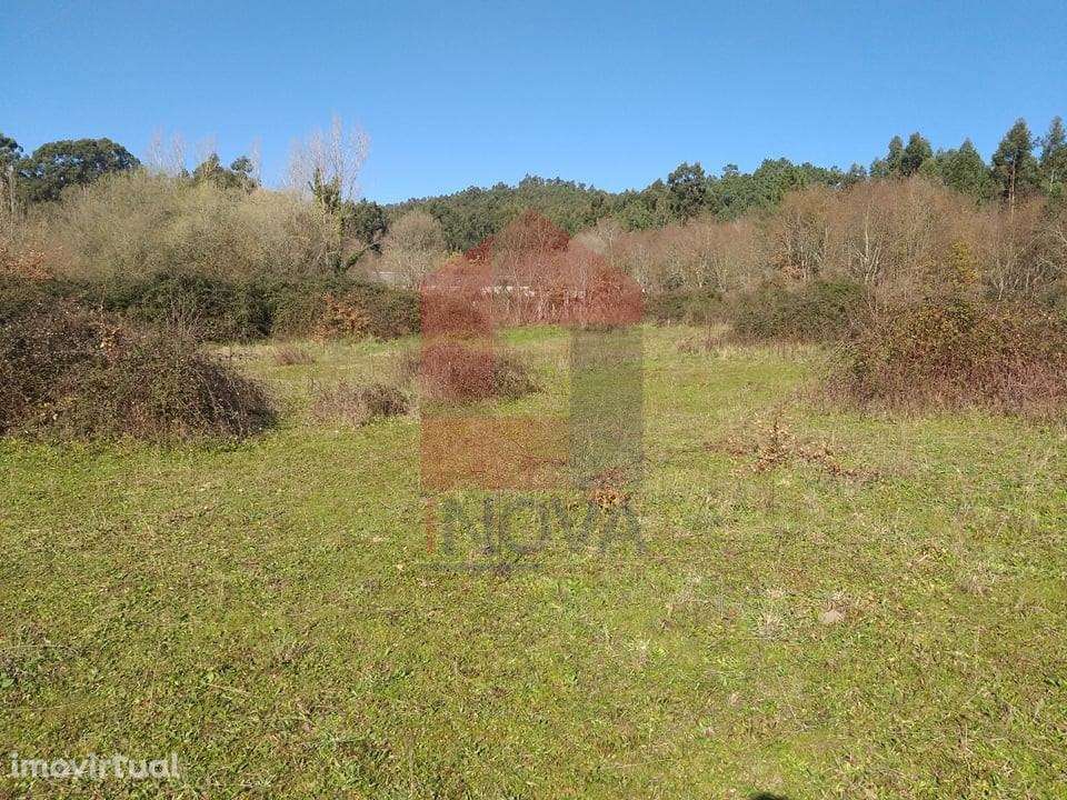 Terreno agrícola, Dossãos - Grande imagem: 4/8