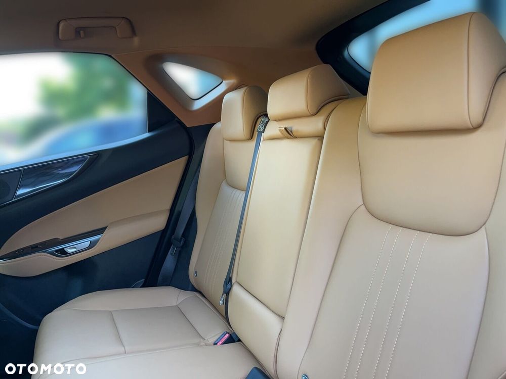 Lexus NX - 6