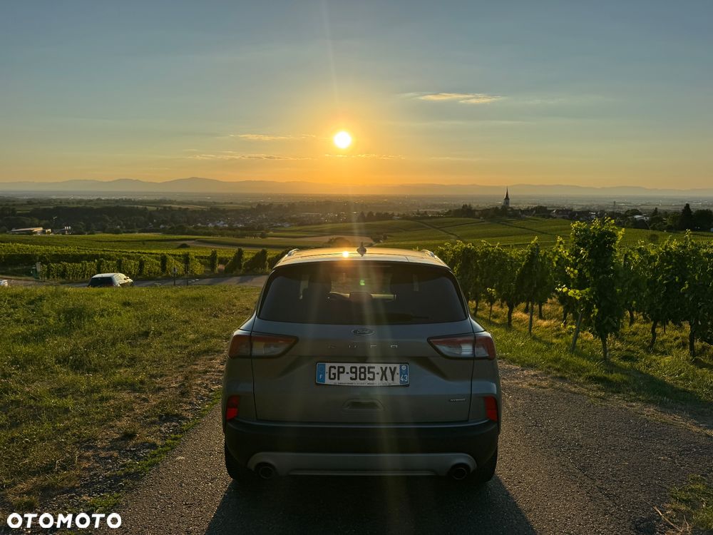 Ford Kuga 2.5 Duratec FHEV COOL&CONNECT - 8
