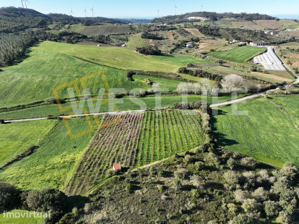 Terreno agrícola de 12040m2 com poço e casa de apoio para a ativida... - Grande imagem: 3/18