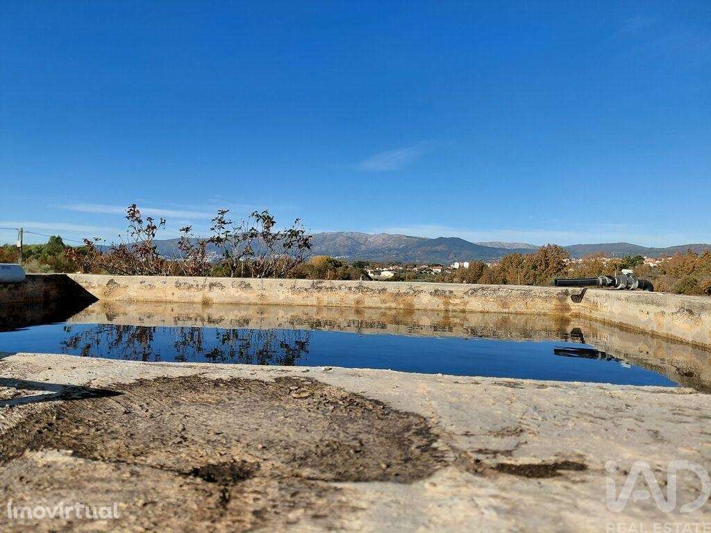 Quinta agricola em Caria de 44720 m2 - Grande imagem: 3/21