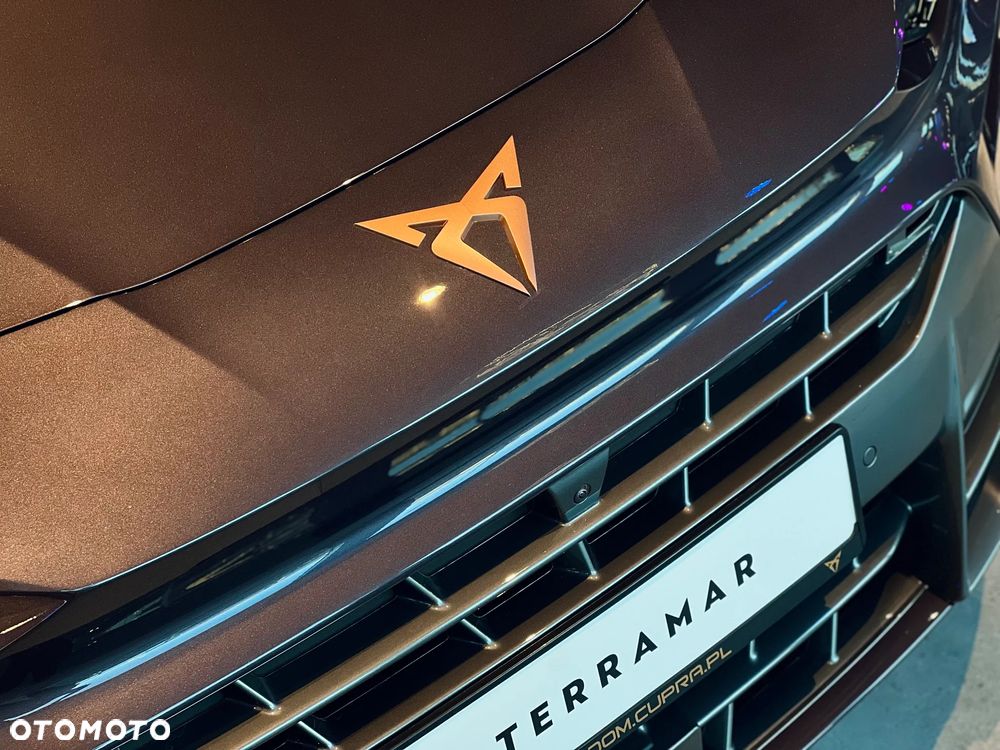Cupra Terramar 1.5 eTSI mHEV DSG - 11
