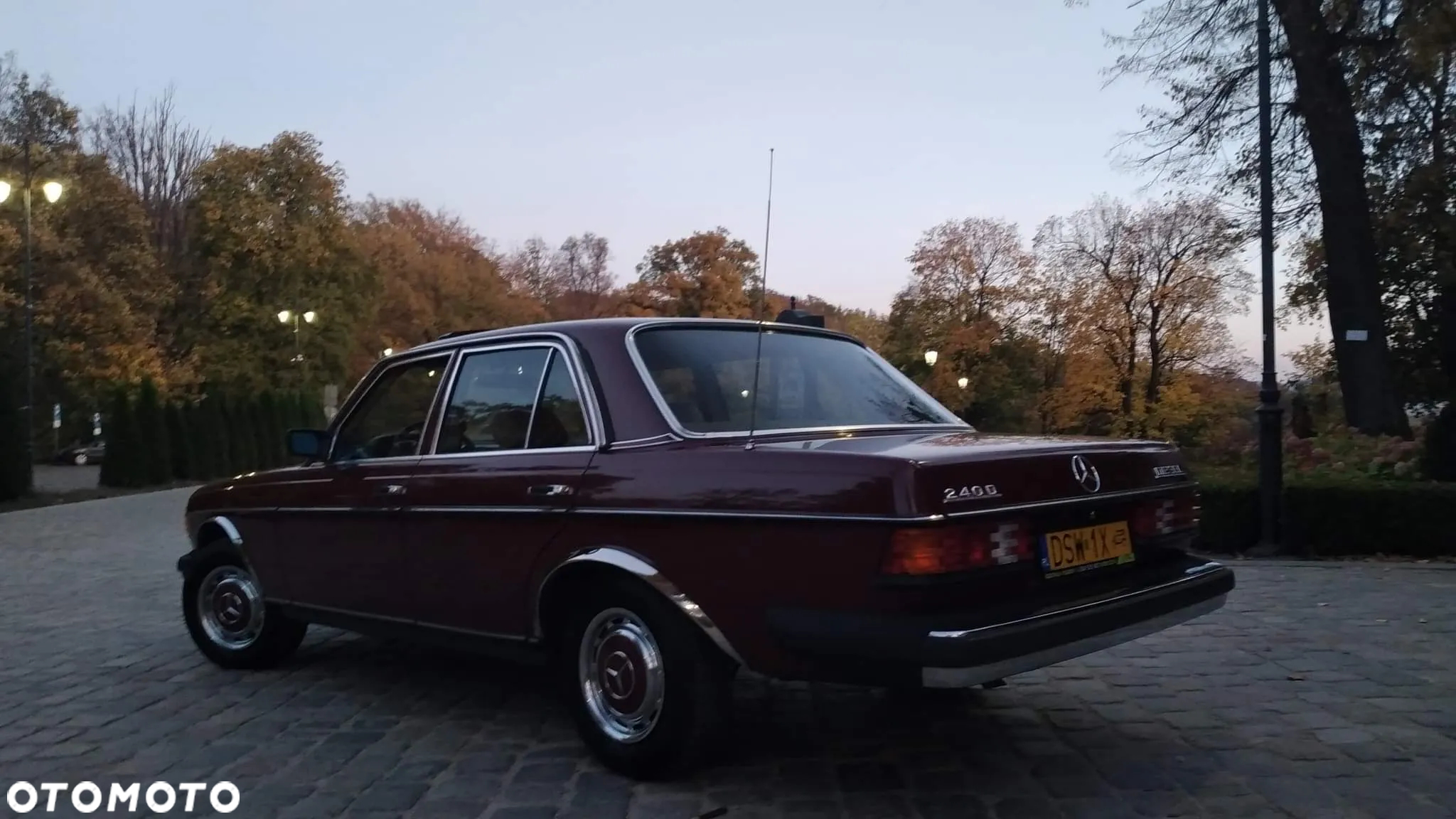 Mercedes-Benz W123 - 16