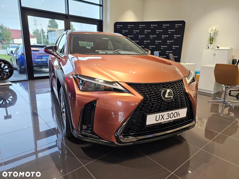 Lexus UX 300h F Sport Design - 2