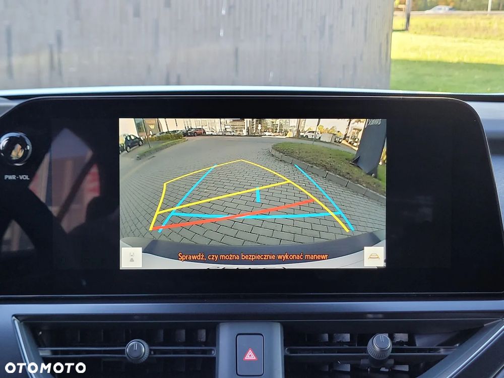 Lexus UX 300h F Sport Design - 19