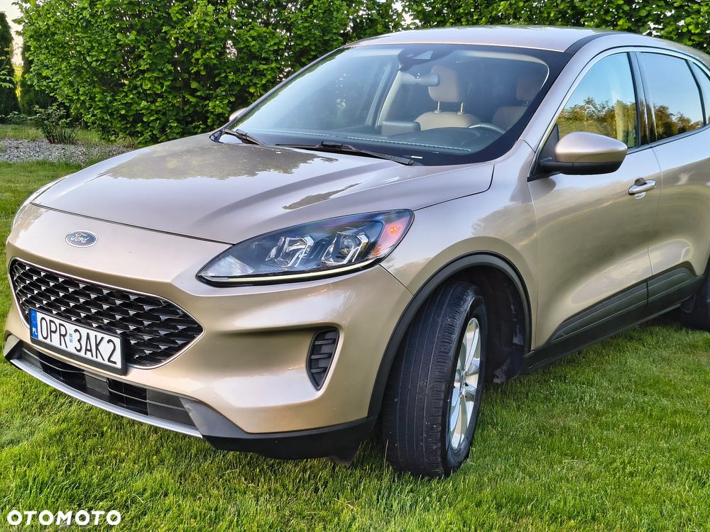 Ford Escape - 2