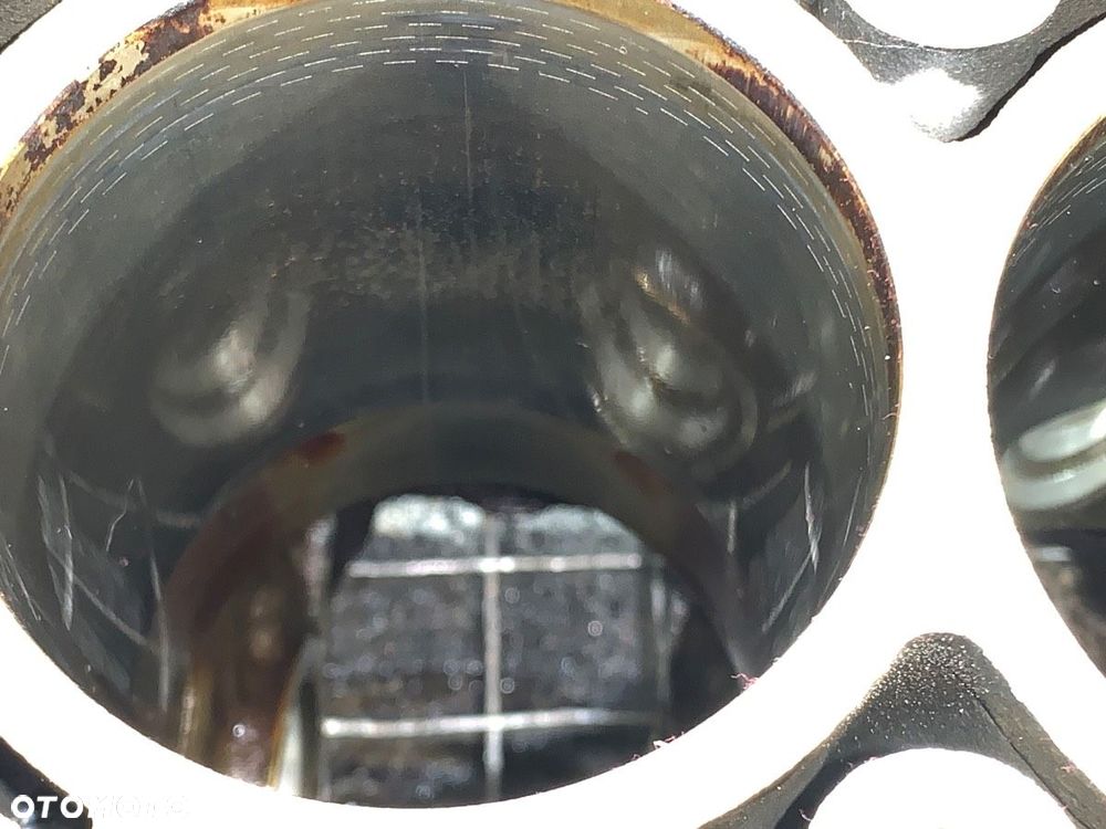 BLOK SILNIKA  CHEVROLET CRUZE liftback (J305) 2010 - 2022 1.6 91 kW [124 KM] benzyna 2011 - 2022 - 8