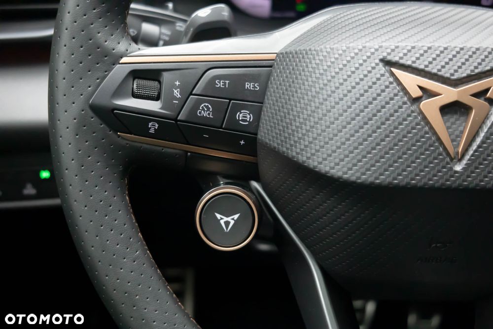 Cupra Terramar 2.0 TSI 4Drive DSG VZ - 20