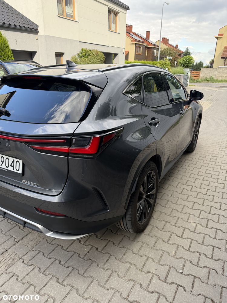 Lexus NX - 10