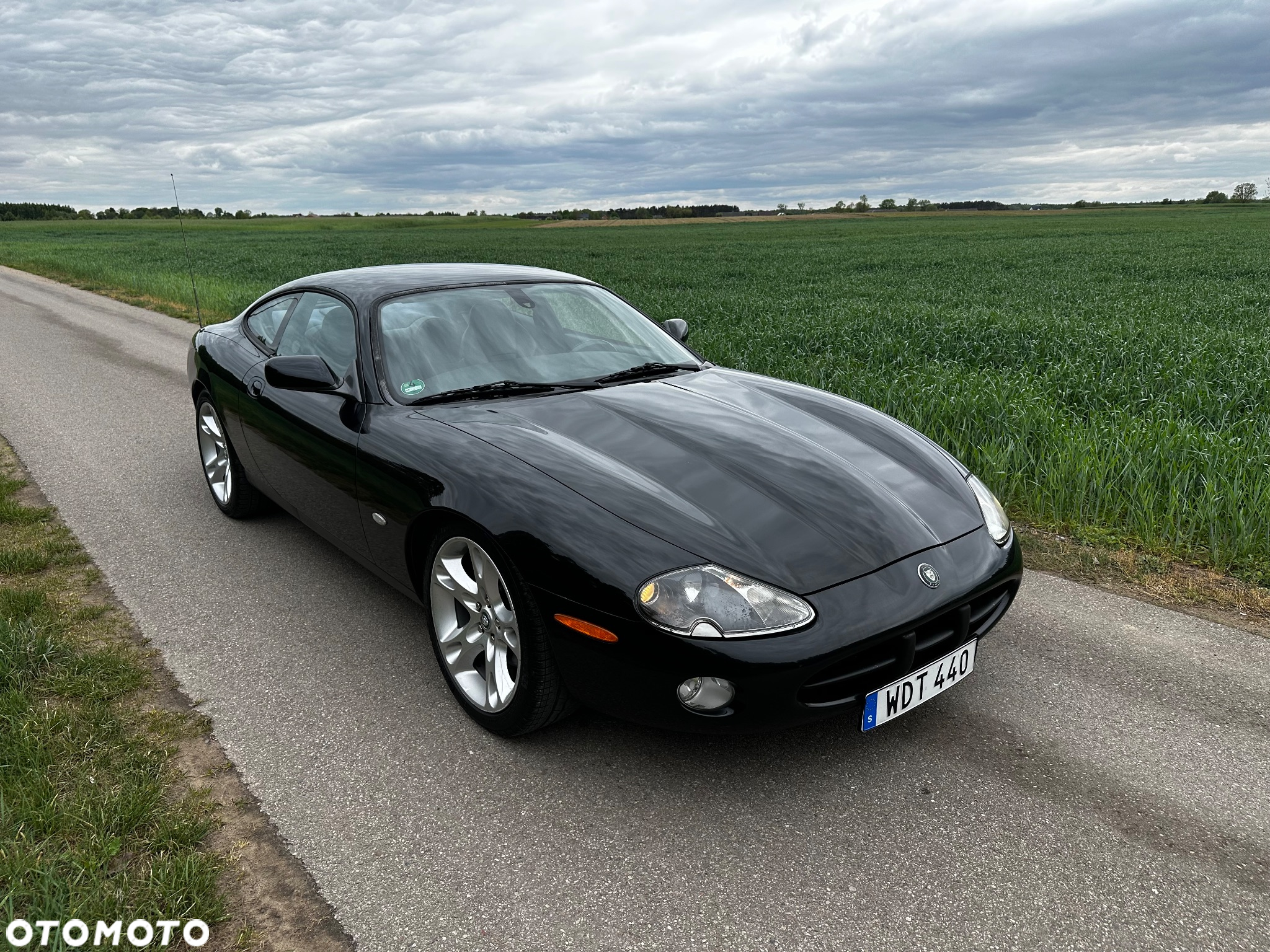 Jaguar XK8 4.2 - 17