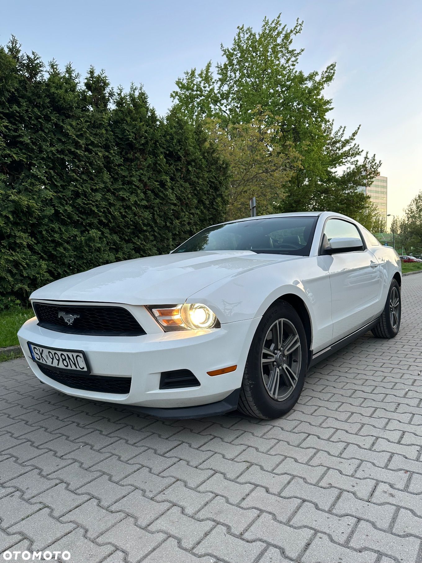 Ford Mustang 3.7 V6 Premium - 1