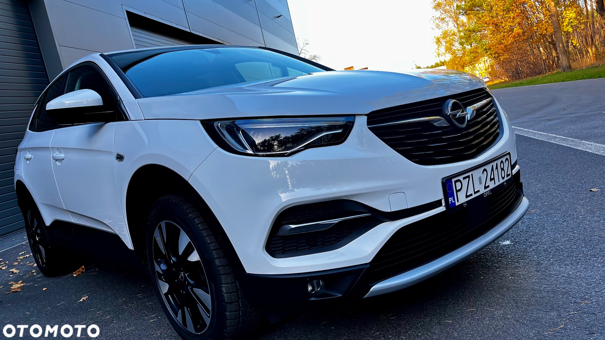 Opel Grandland X 1.2 Start/Stop Business Elegance - 19