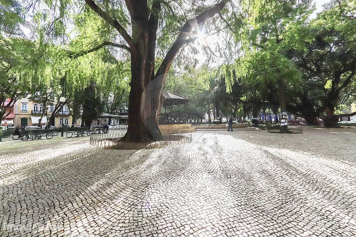 Apartamento T3 para arrendamento - Grande imagem: 4/41