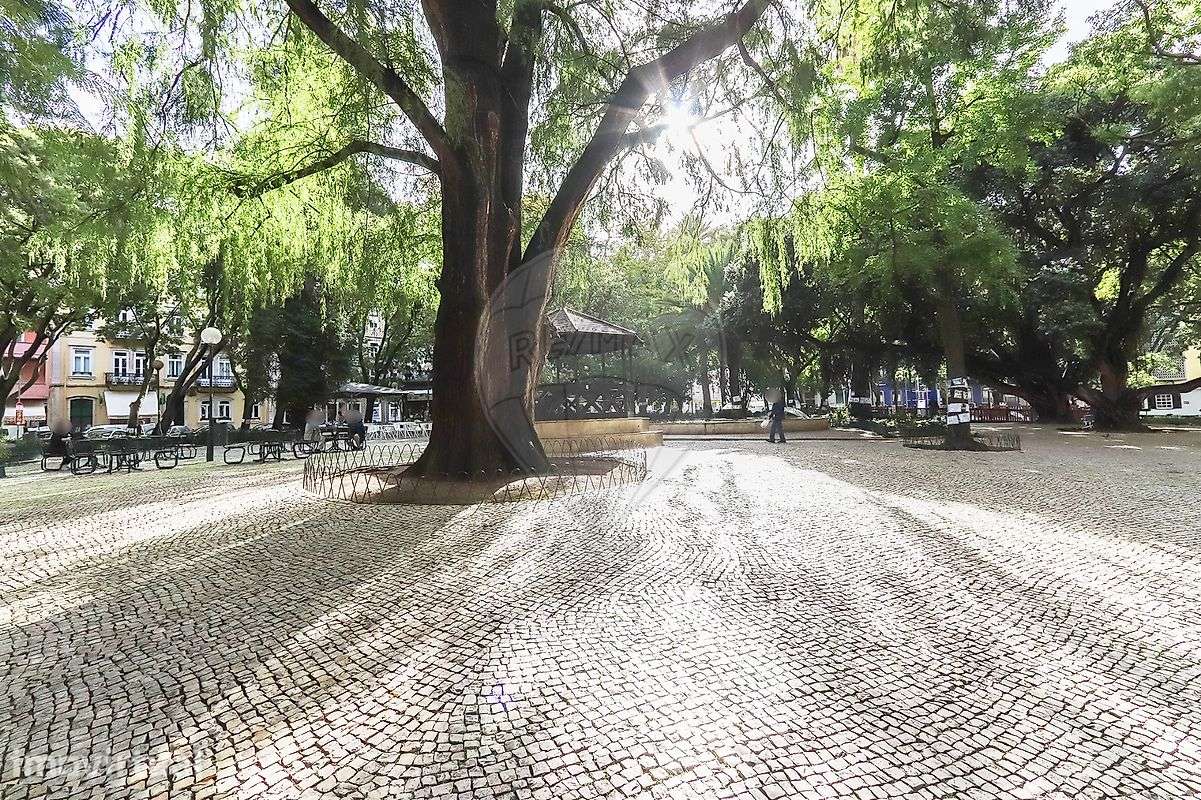 Apartamento T3 para arrendamento - Grande imagem: 4/41