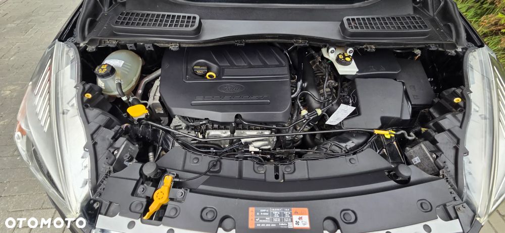 Ford Kuga 1.5 EcoBoost FWD Edition ASS MMT6 - 40