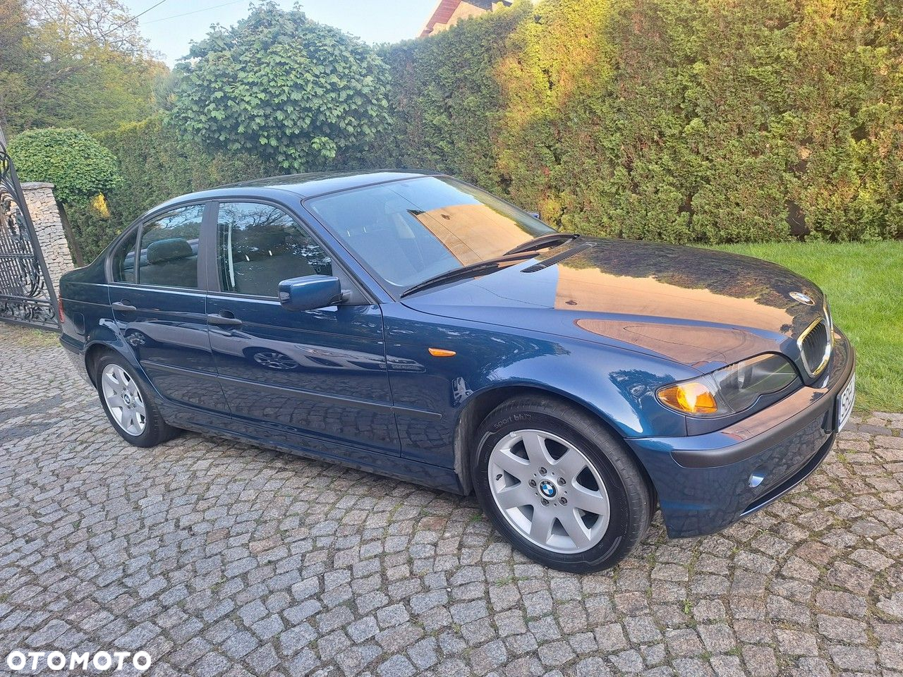 BMW Seria 3 318i Edition Exclusive - 40