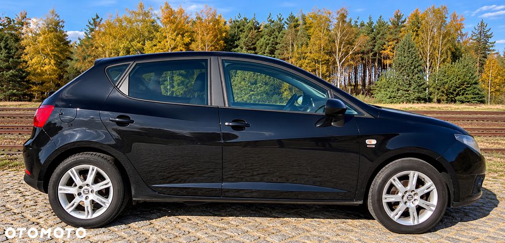 Seat Ibiza 2009 photo 5