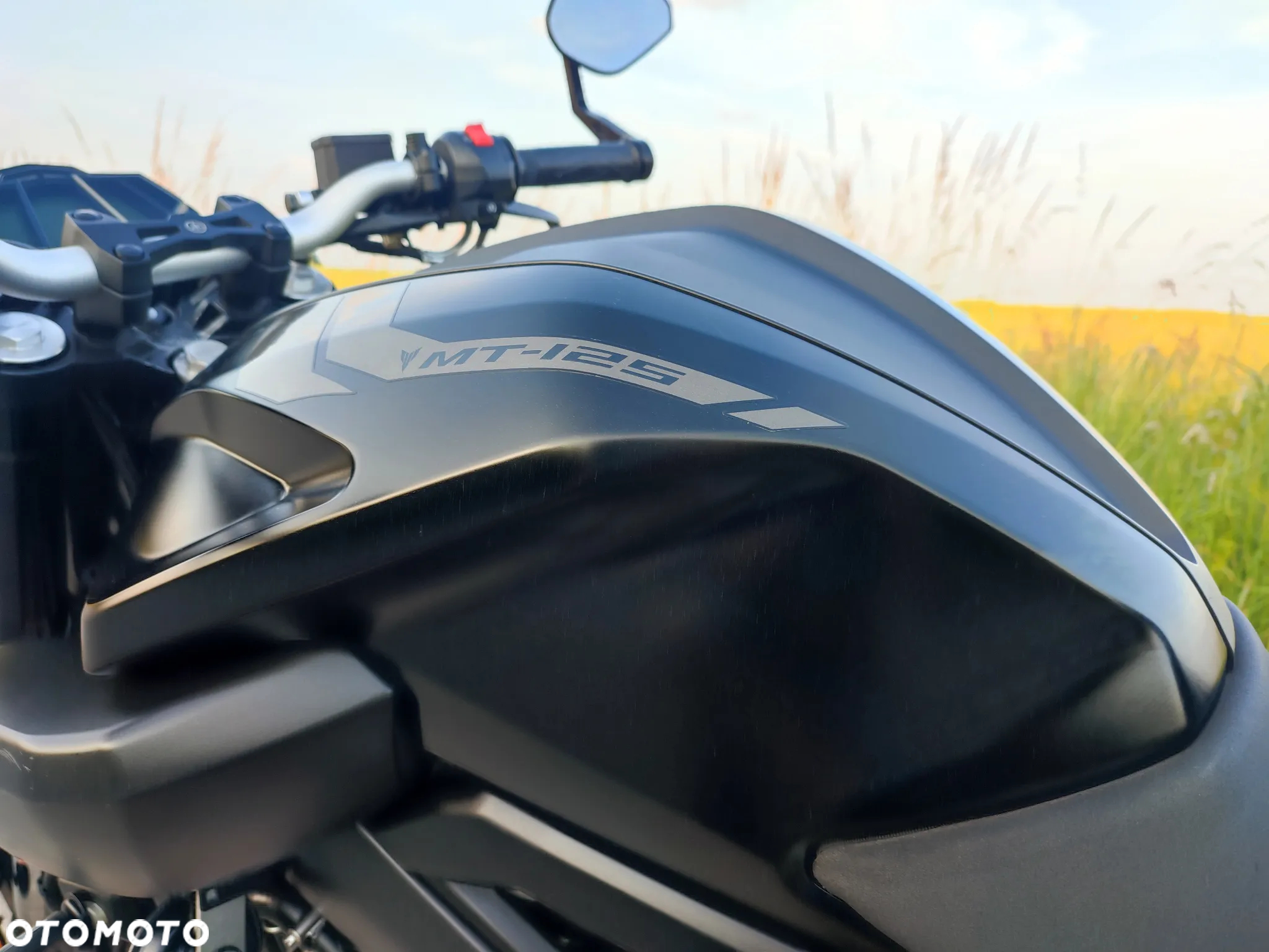 Yamaha MT - 24