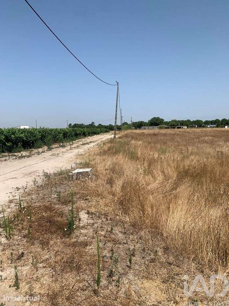 Terreno para construção em Poceirão e Marateca - Grande imagem: 5/29