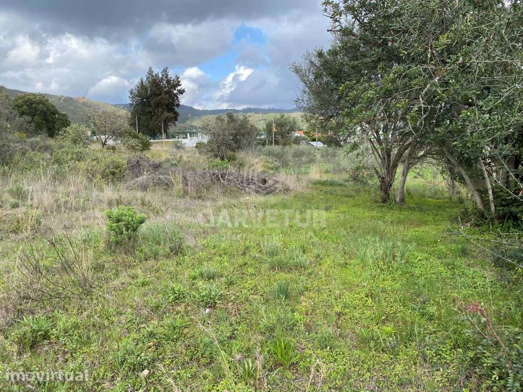 Terreno Rustico com 8 600m2, Salir, Algarve - Grande imagem: 3/17