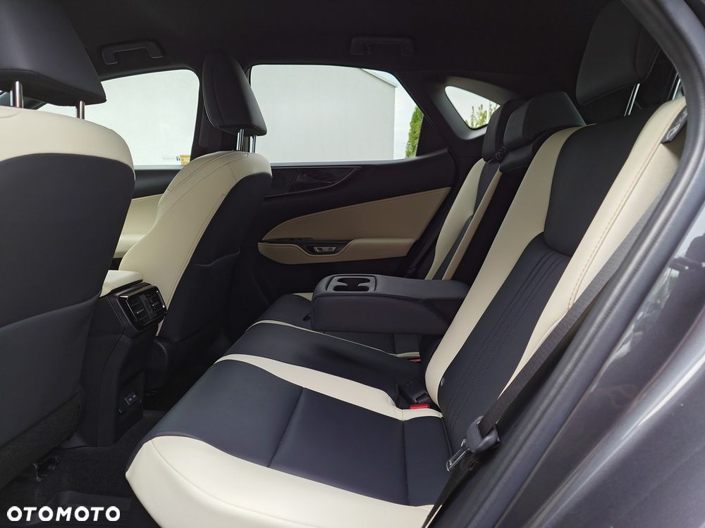 Lexus NX - 22