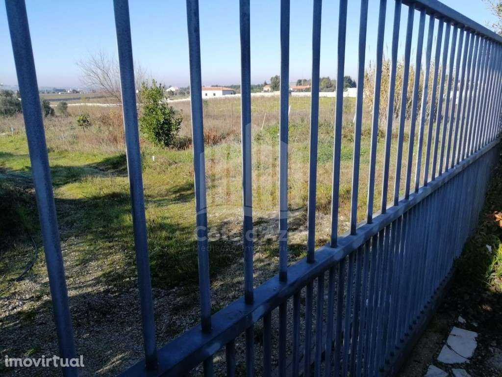 Terreno com 15000 m2 - Grande imagem: 4/12