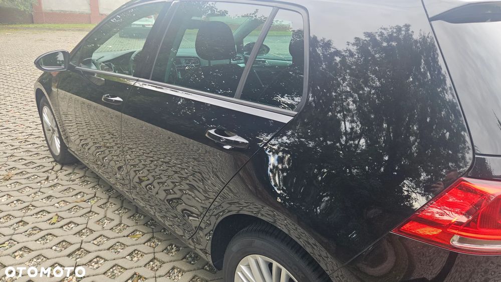 Volkswagen Golf 1.4 TSI BlueMotion Technology Cup - 24
