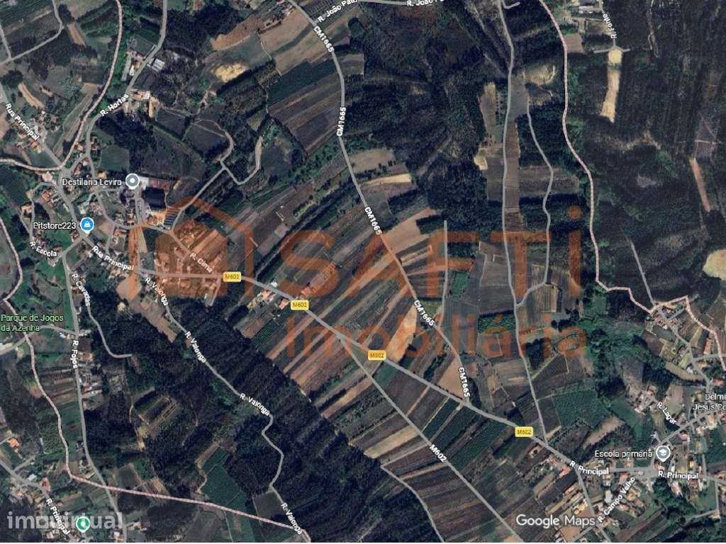 Terreno agrícola com forte potencial vitivinícola e com 5870 m2 em ... - Grande imagem: 3/12