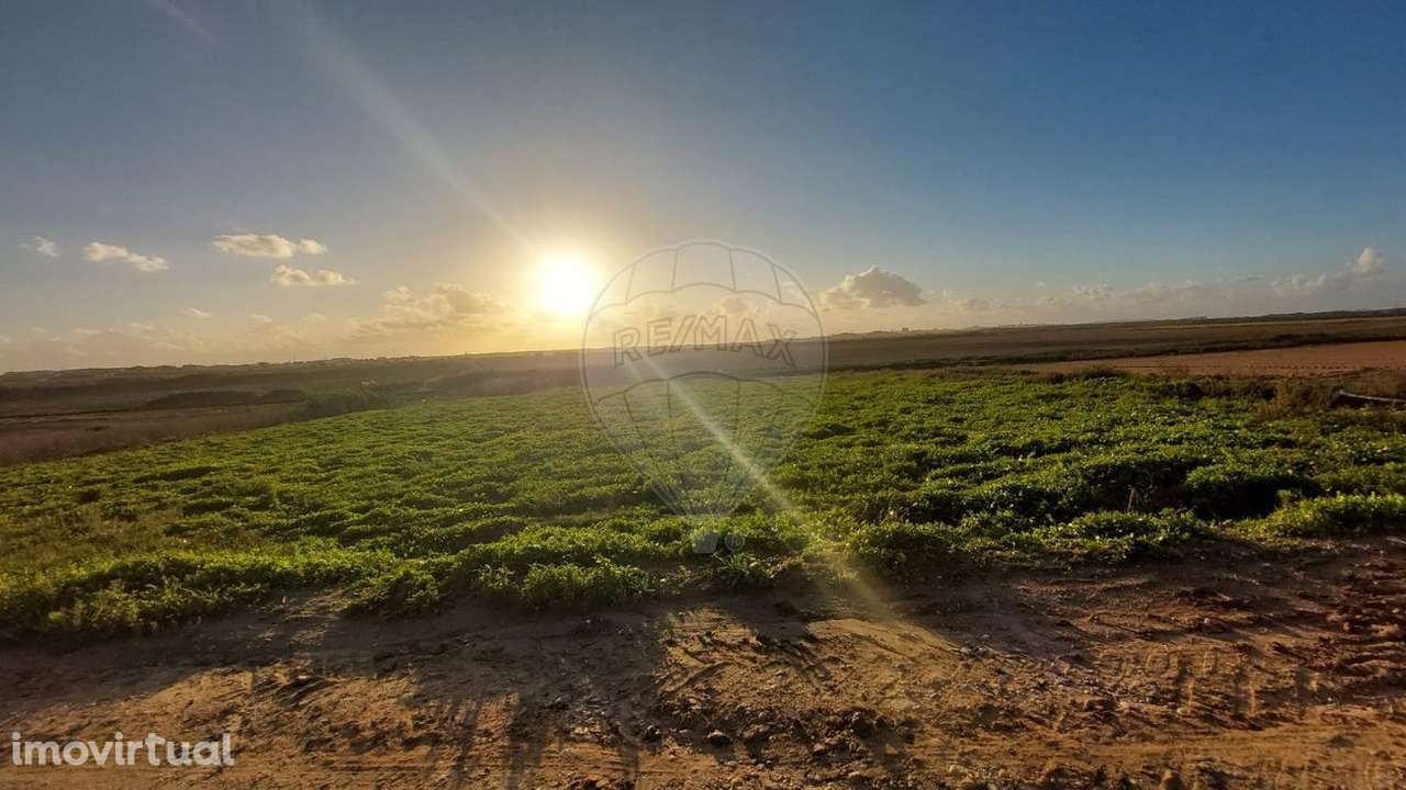 Terreno  para venda - Grande imagem: 2/3