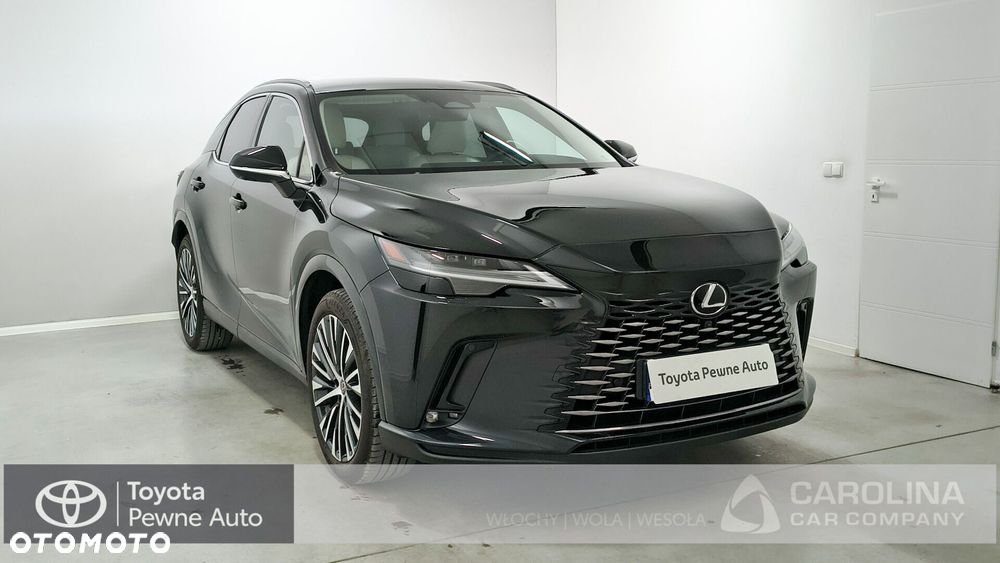 Lexus RX - 25
