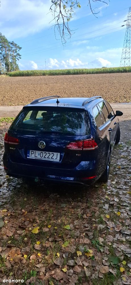 Volkswagen Golf - 20