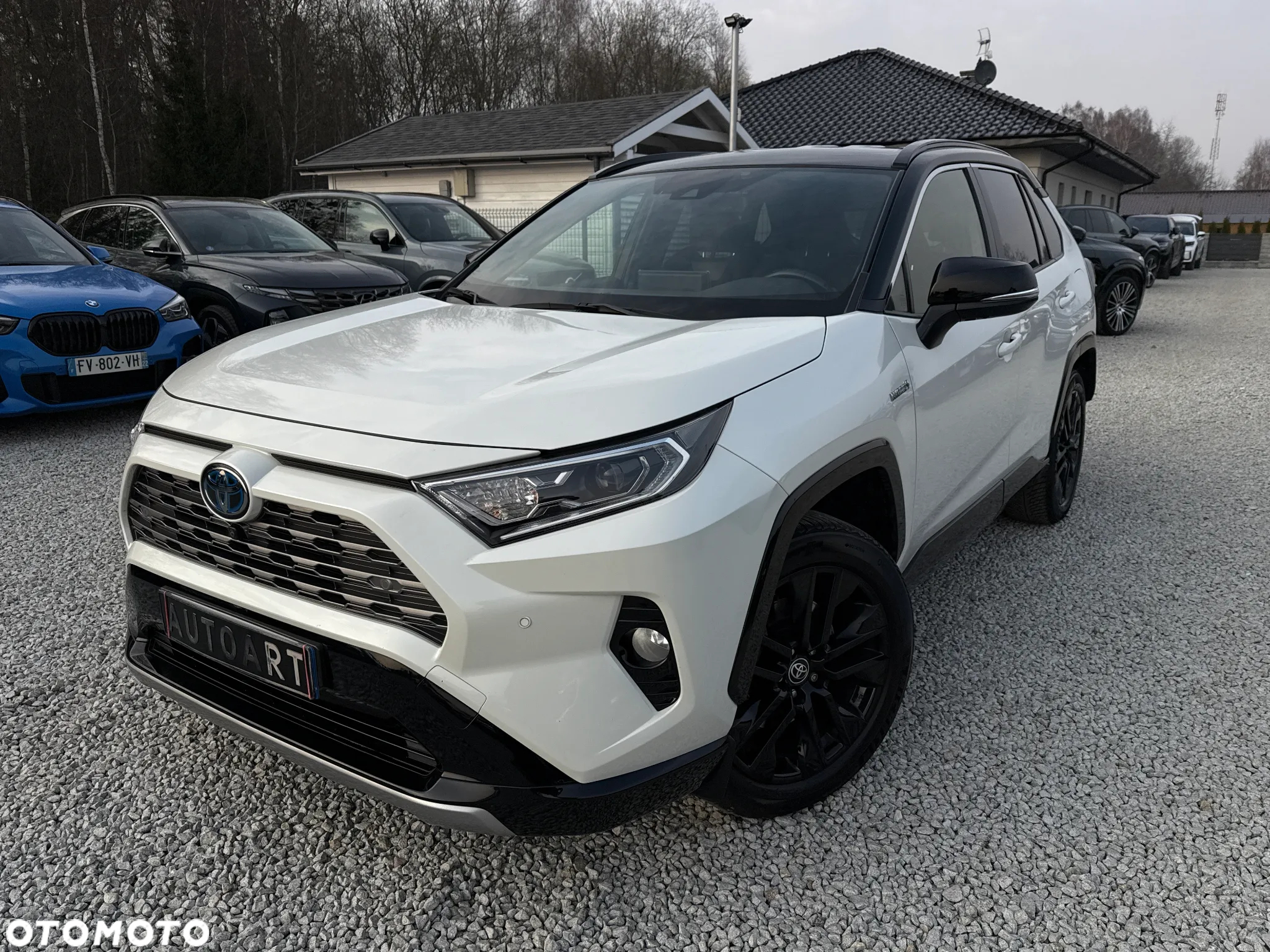 Toyota RAV4 2.5 4x4 Hybrid Club - 5