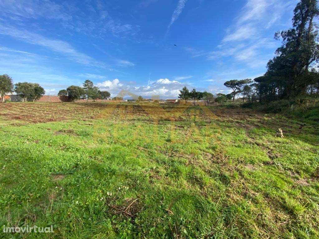 Terreno para construção em Apúlia - Esposende - Grande imagem: 2/24