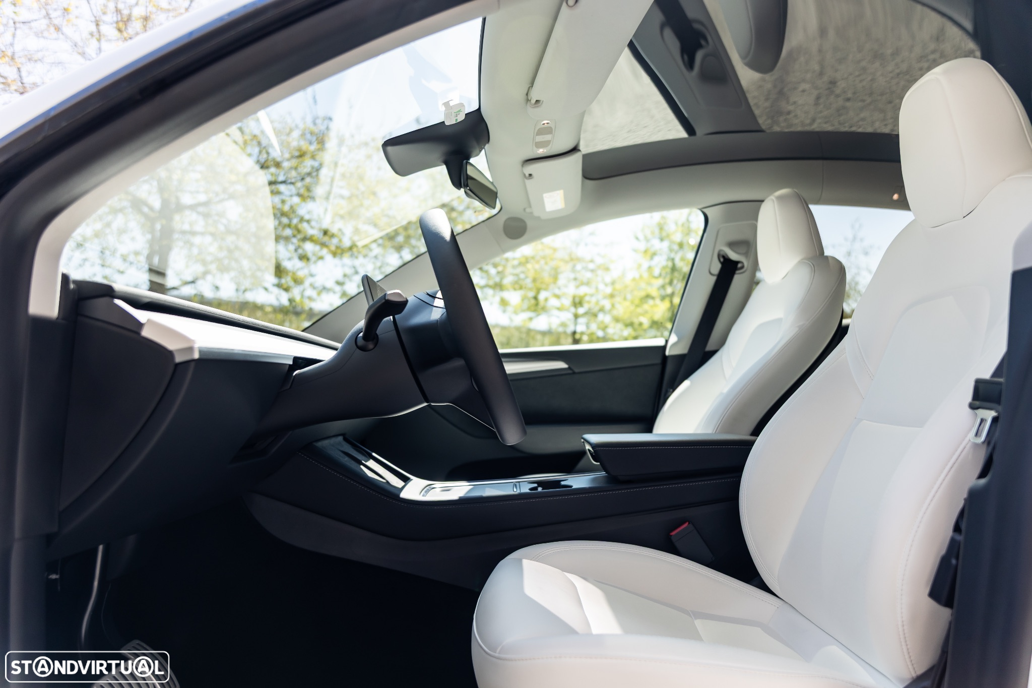 Tesla Model Y Performance Dual Motor AWD - 17