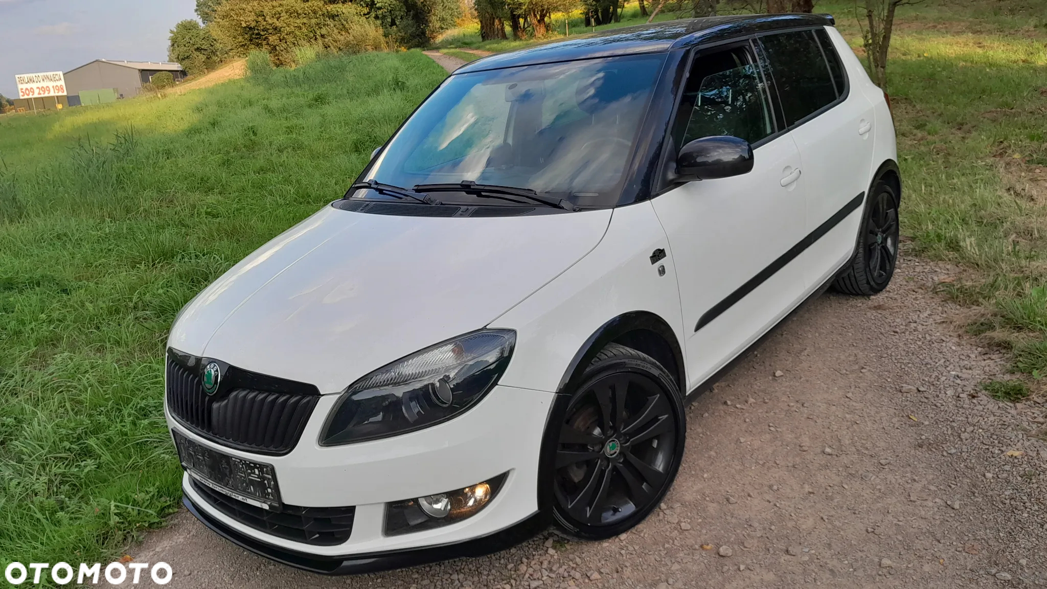 Skoda Fabia - 23