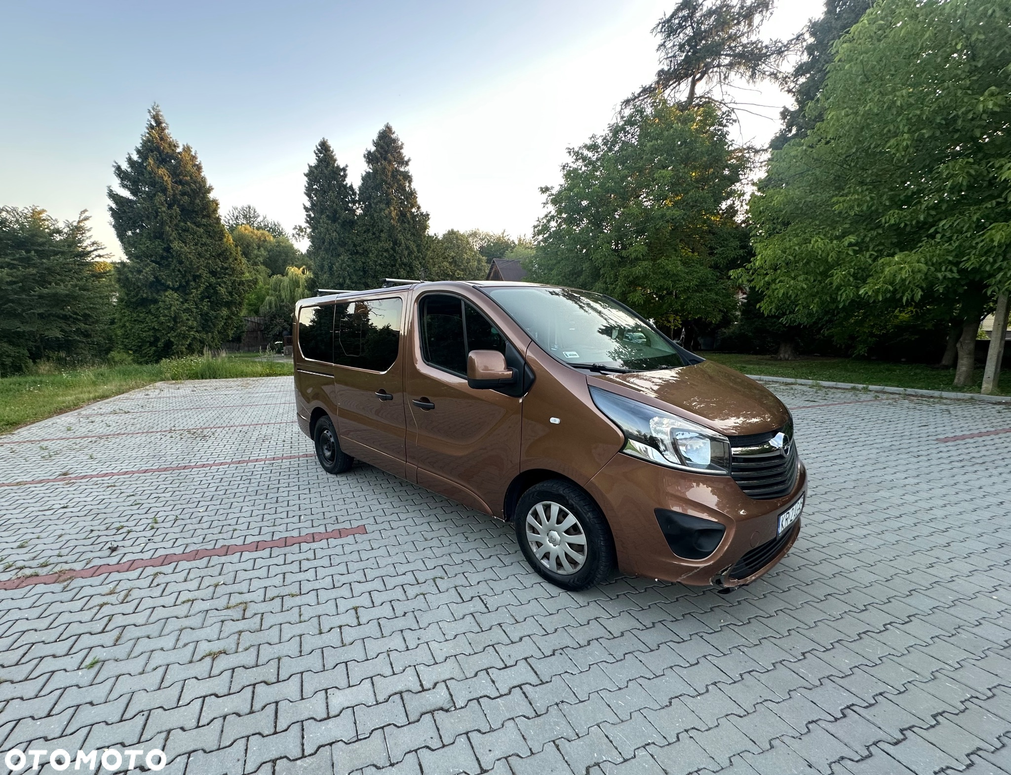 Opel Vivaro - 3