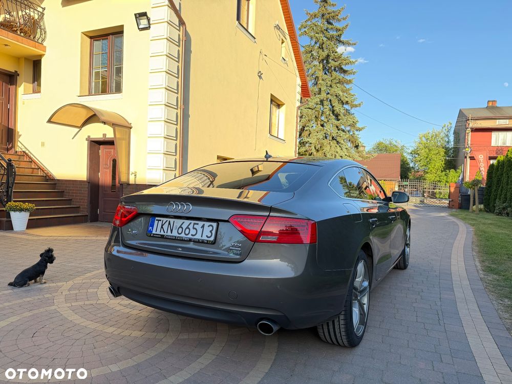 Audi A5 Sportback 3.0 TDI quattro DPF S tronic - 16