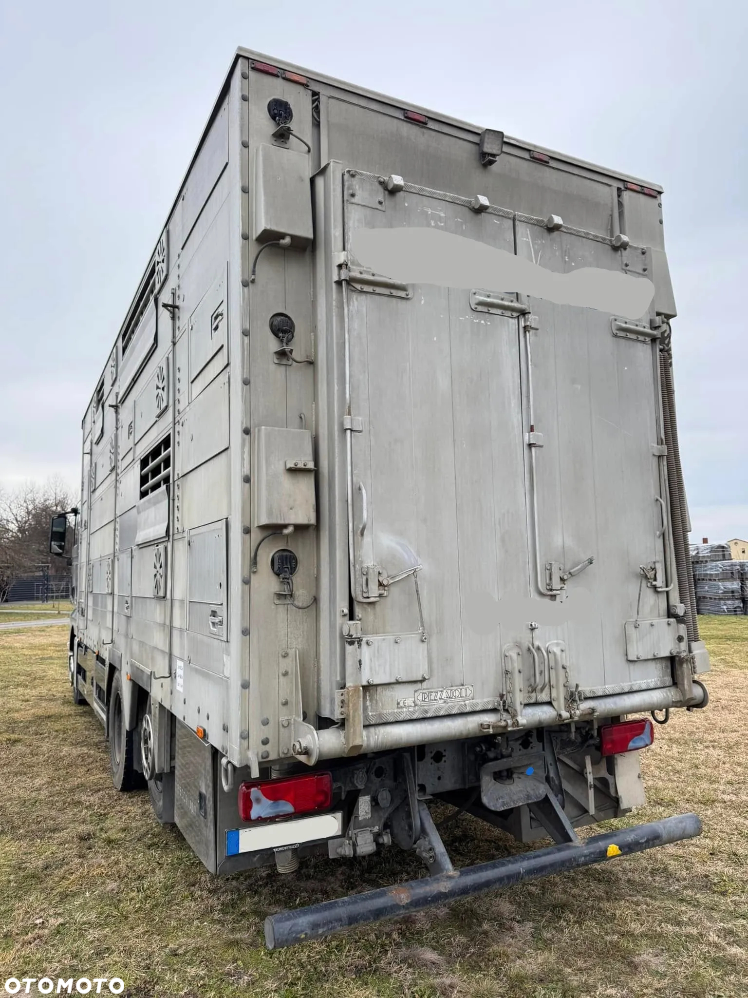 MAN TGX 26.440 Pezzaioli, 3 Pietra, Bydło, Trzoda, Żywca, Zwierząt - 4
