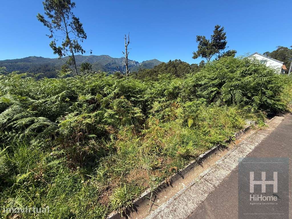 Terreno com 2.100 m² para construção em São Jorge - Grande imagem: 3/9