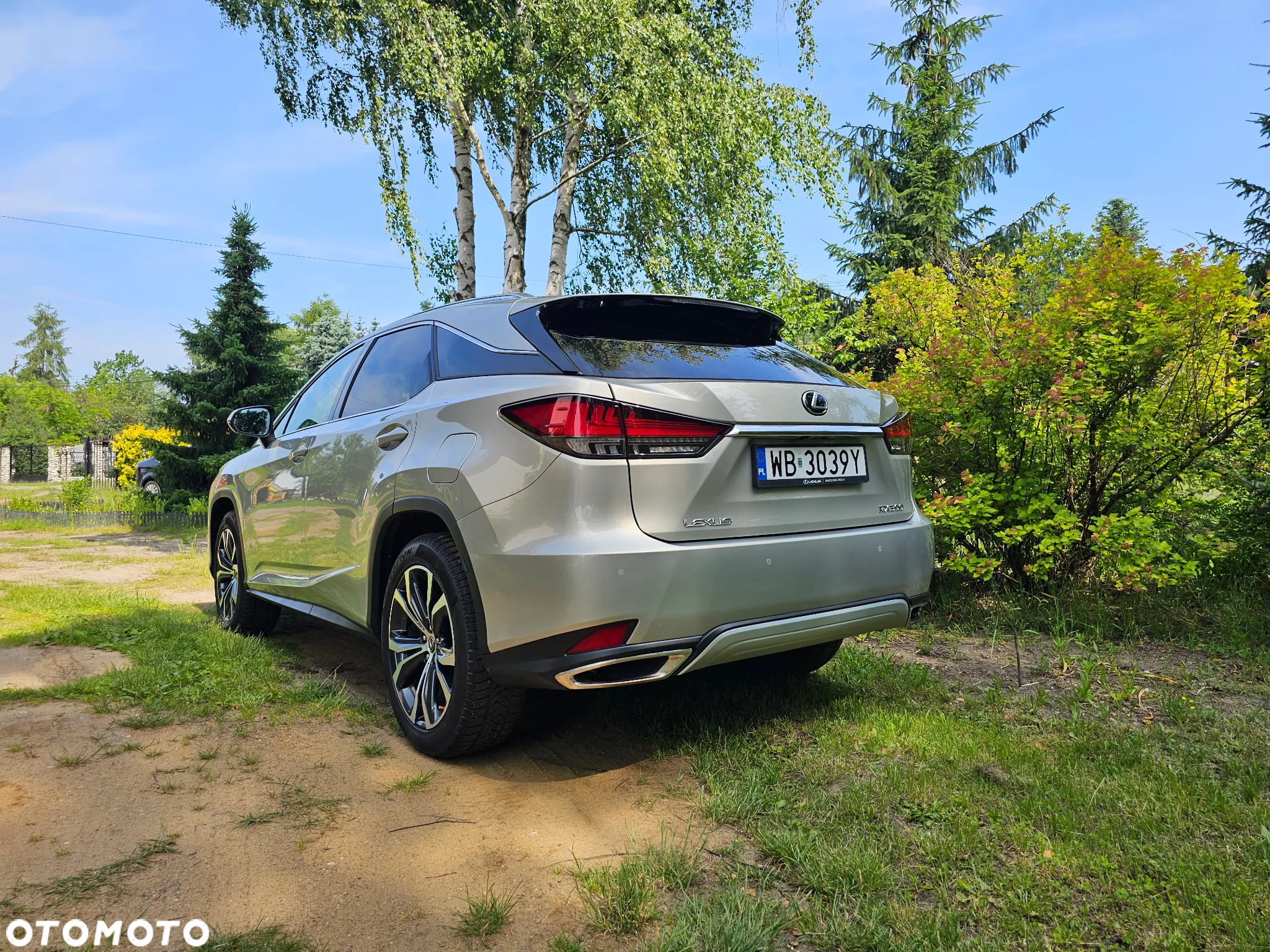 Lexus RX 300 Business Edition + - 6