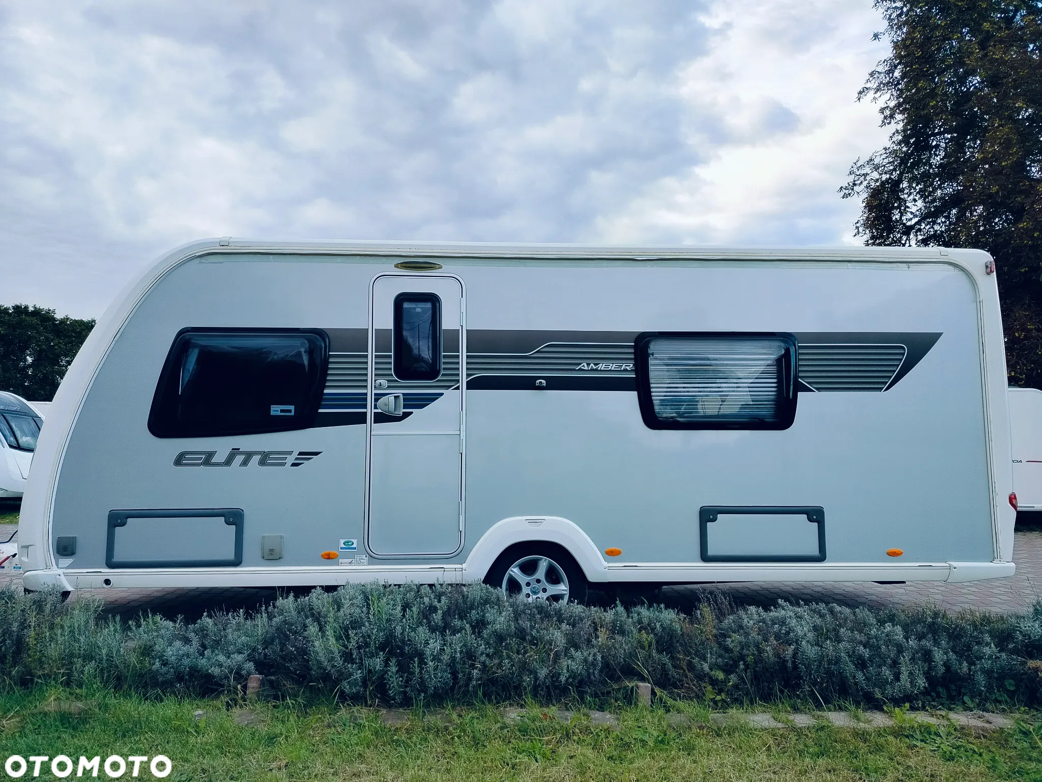 SWIFT Sterling Elite Amber - 3