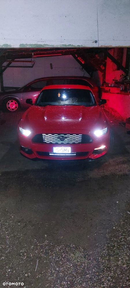 Ford Mustang - 13