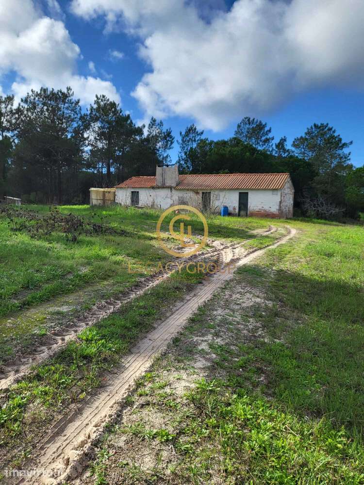 Terreno Industrial para investimento em Sines - Grande imagem: 2/18