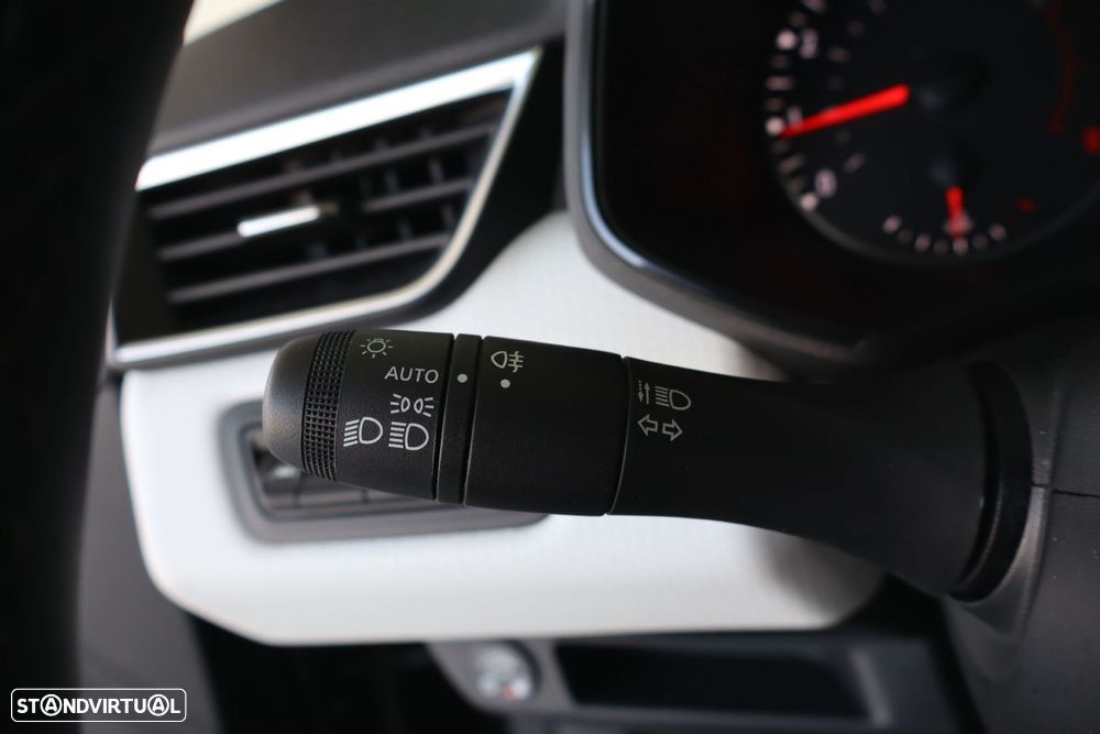Renault Clio - 24